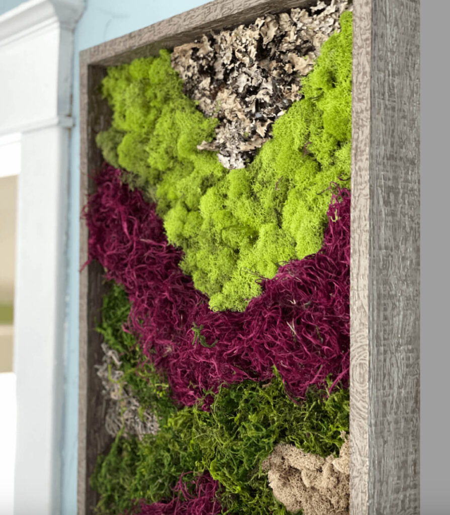 Moss Wall Art with various colors of preserved moss.