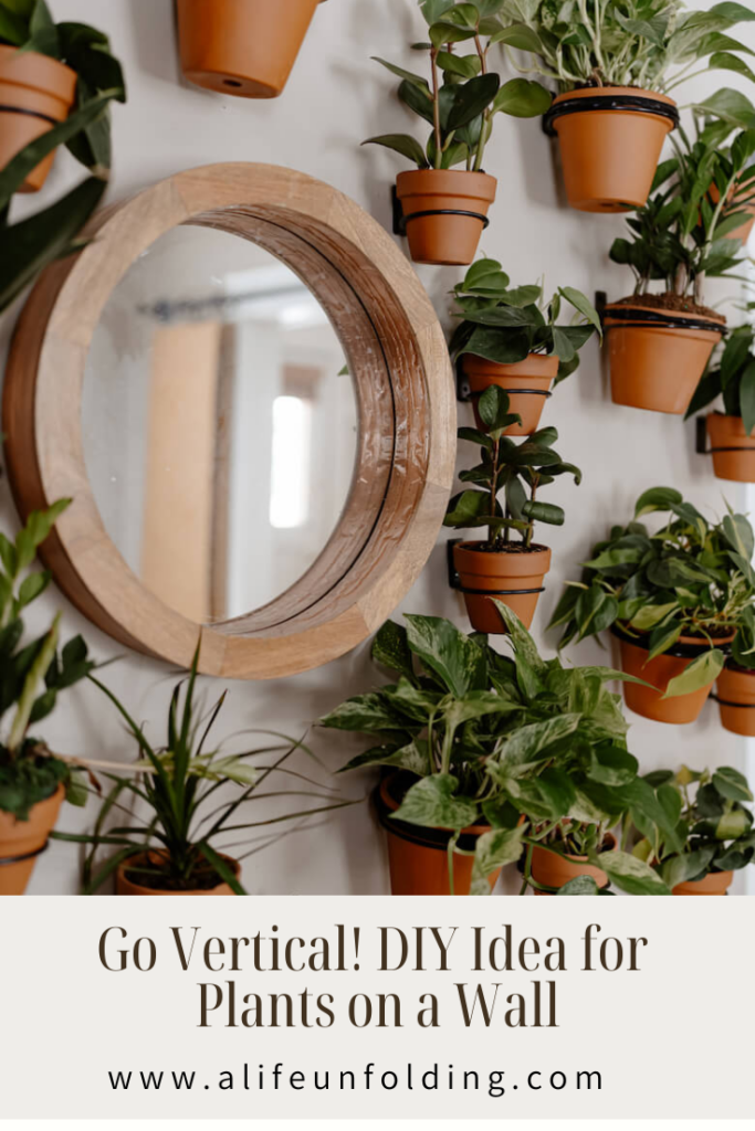 Vertical plant wall with plants in clay pots.