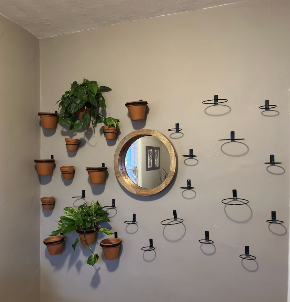 Plants hung on a wall