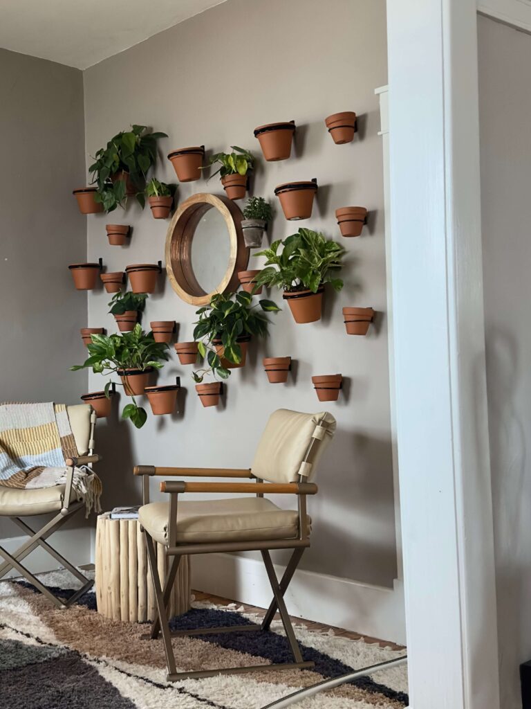 Plants in clay pots hung on wall