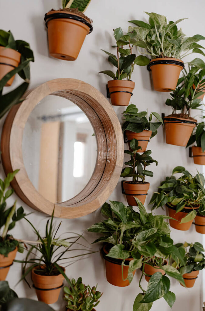 Accent Wall with plants in clay pots.