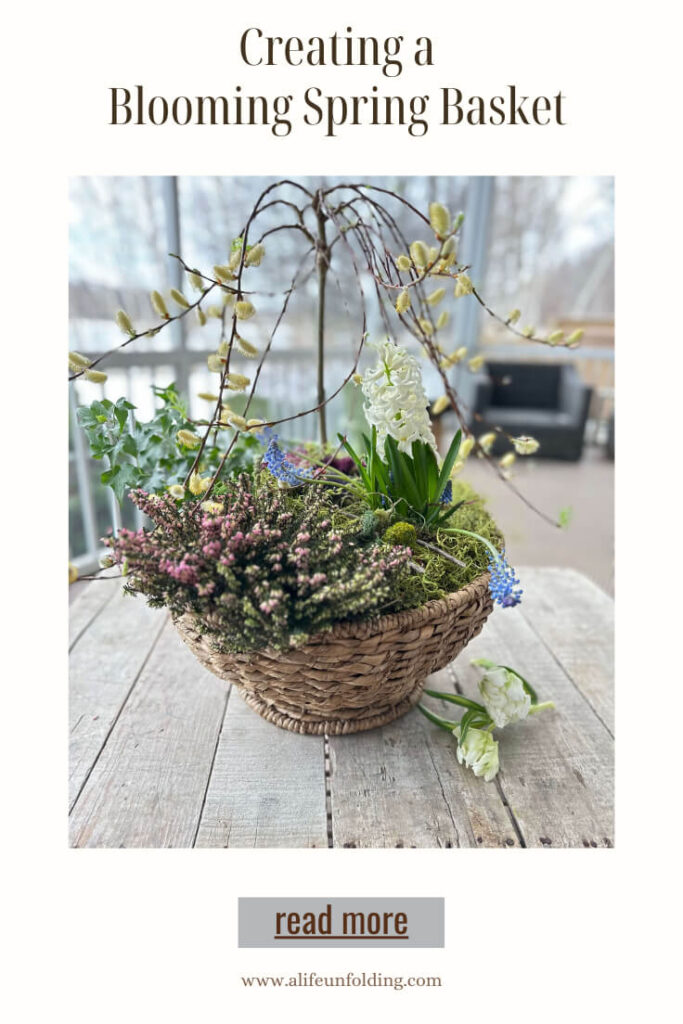 Basket of Flowering Spring Plants.