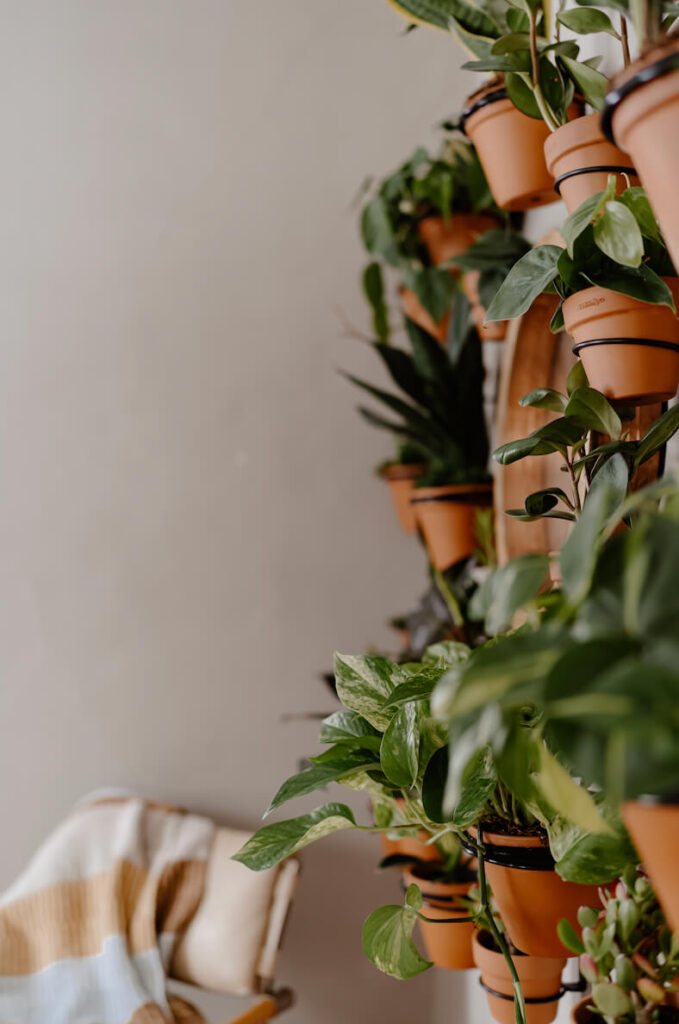 Vertical Plant Display