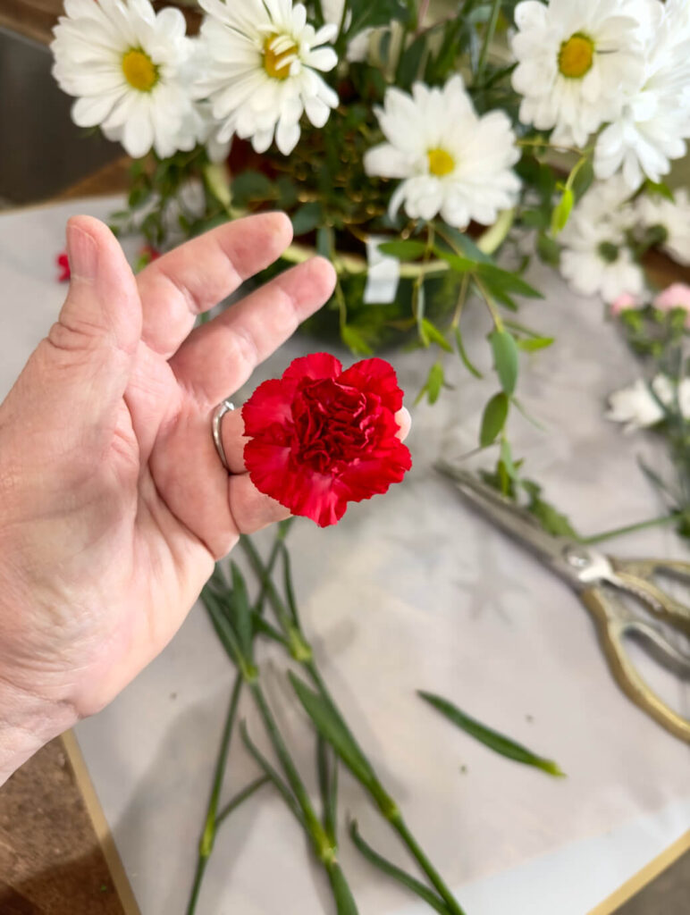 Mini Red Carnations for DIY July 4th Flower Arrangement.
