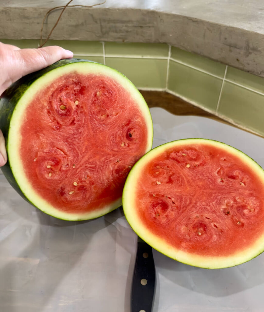 Sliced in half watermelon for a DIY Watermelon Centerpiece for the Fourth of July.