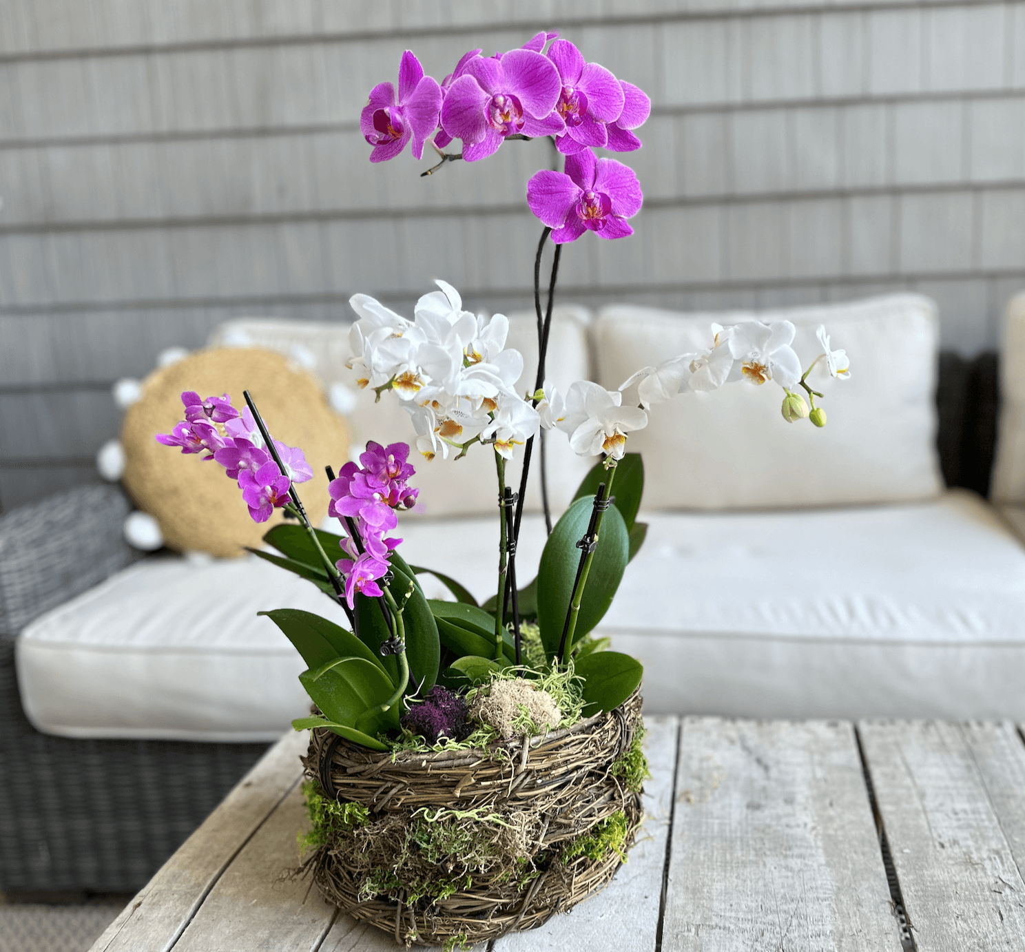 DIY Orchid and Moss Basket Arrangement