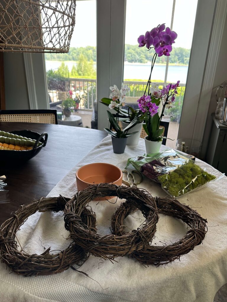 DIY Orchid Arrangement with moss and a grapevine basket.