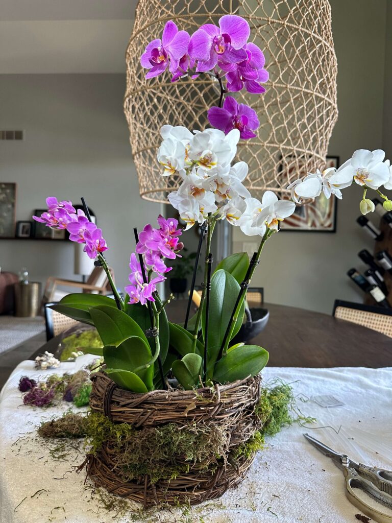 Creating an Orchid and Moss Basket Arrangement 