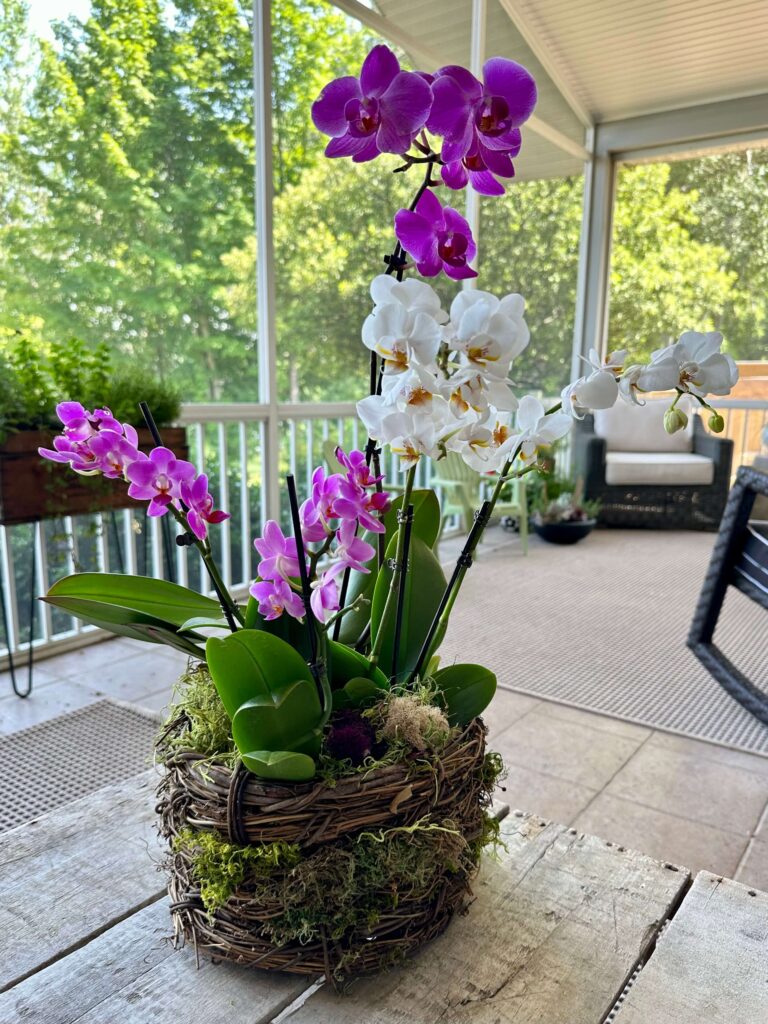 How to create a simple Moss and Orchid Arrangement