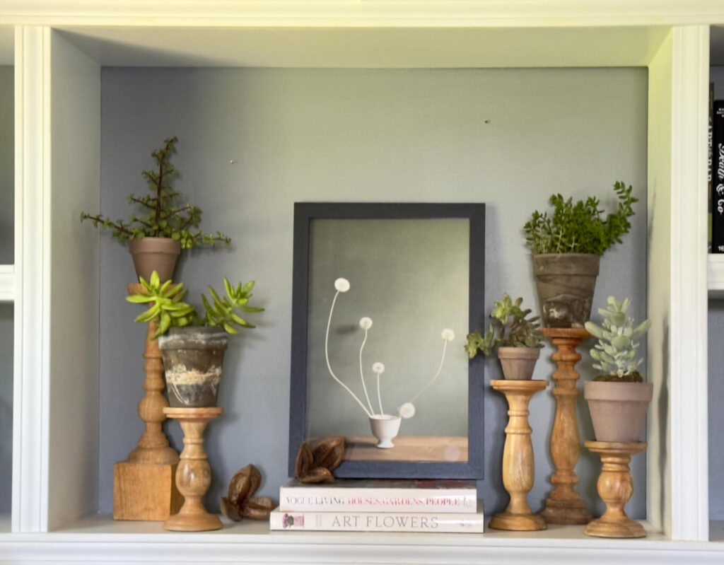 Bookshelf with candlesticks and pots of succulents.