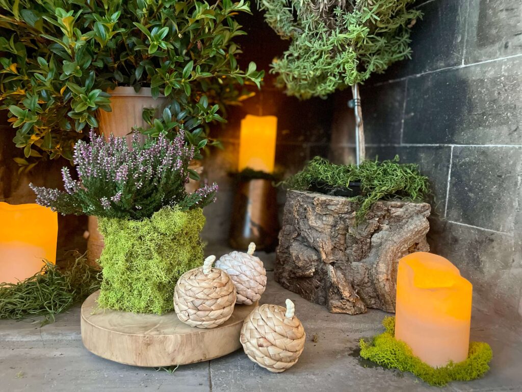 Close up of Fireplace filled with plants, battery-operated candles and moss. With small pumpkins as Fall Decor