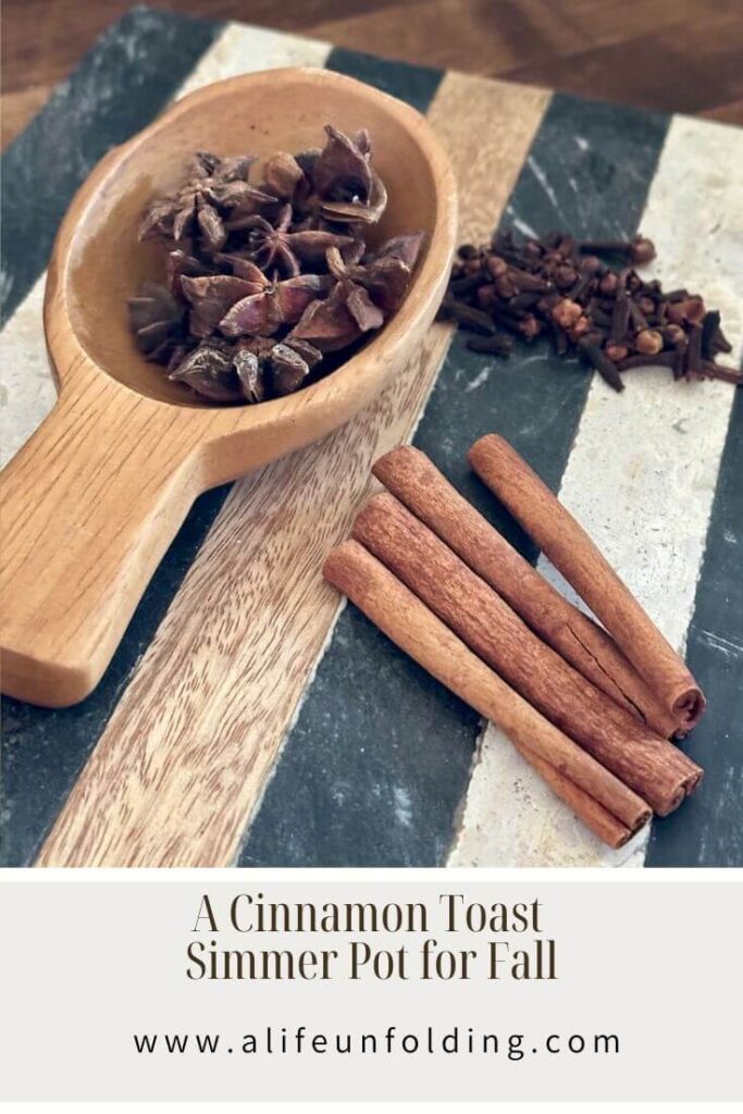 Autumn Simmer Pot- Smells like Cinnamon toast and baked apples.