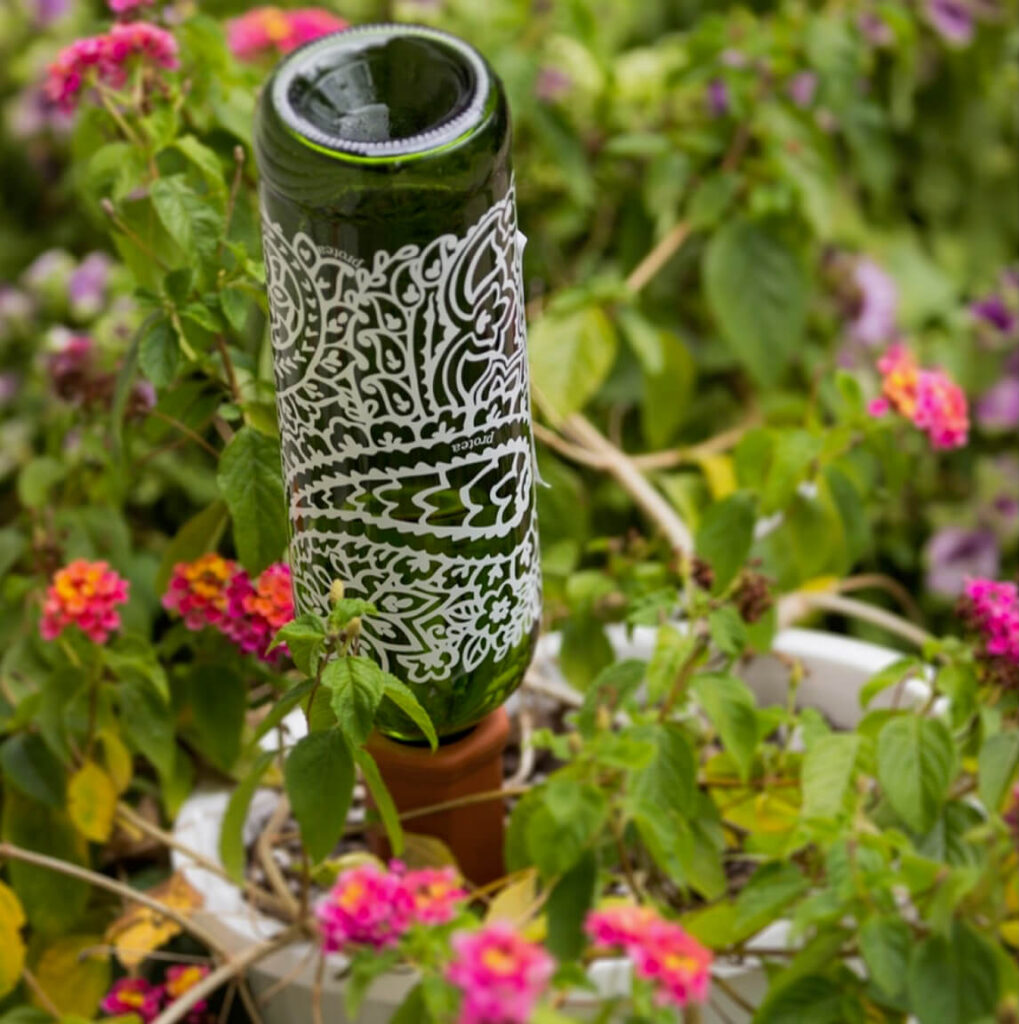 Wine bottle with a clay watering spike