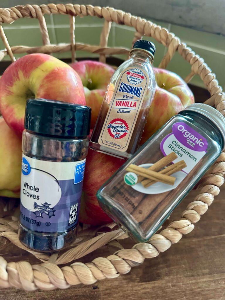 DIY Fall Simmer Pot