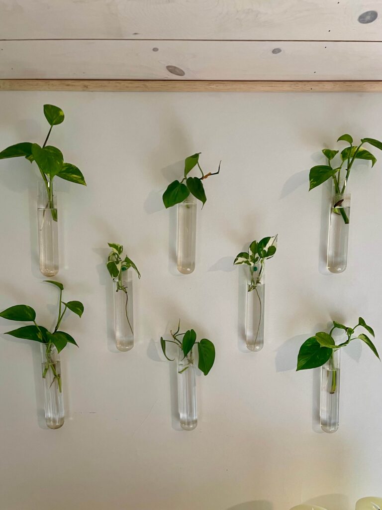Propagation station