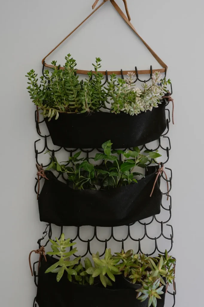 DIY wall planter flled with easy care plants.