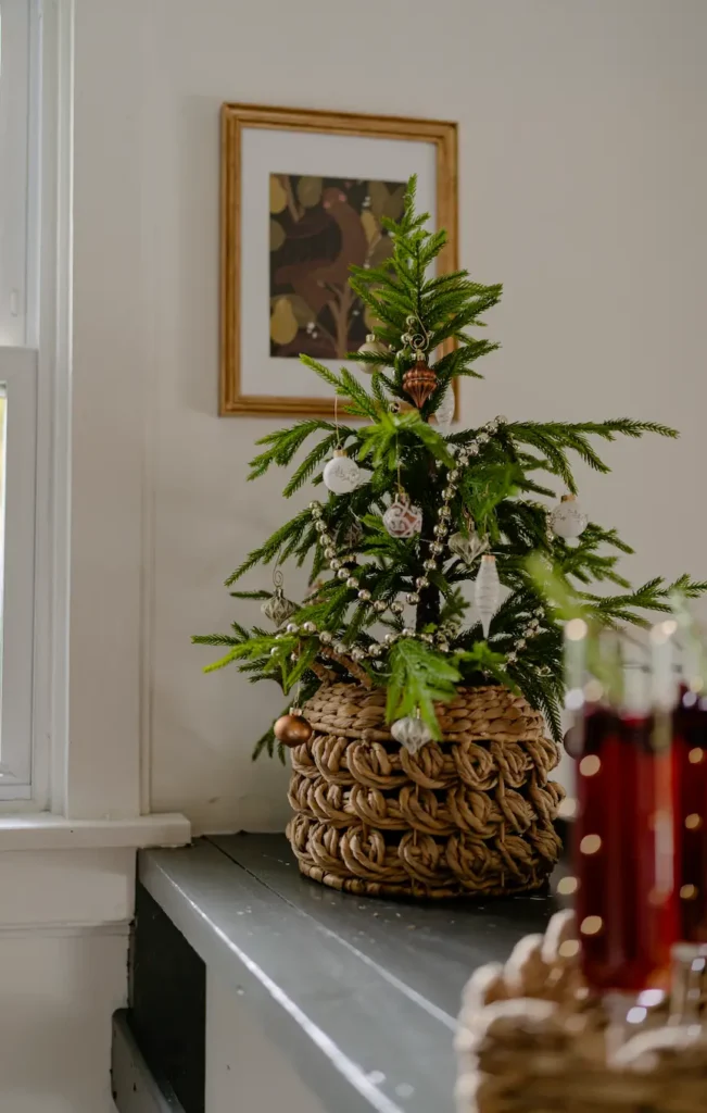 Entryway Decorated for Christmas