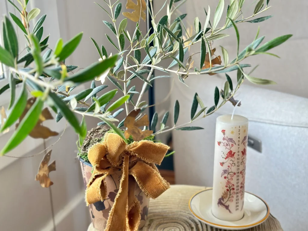 Adding a Garland to a Houseplant for the Christmas Holidays.