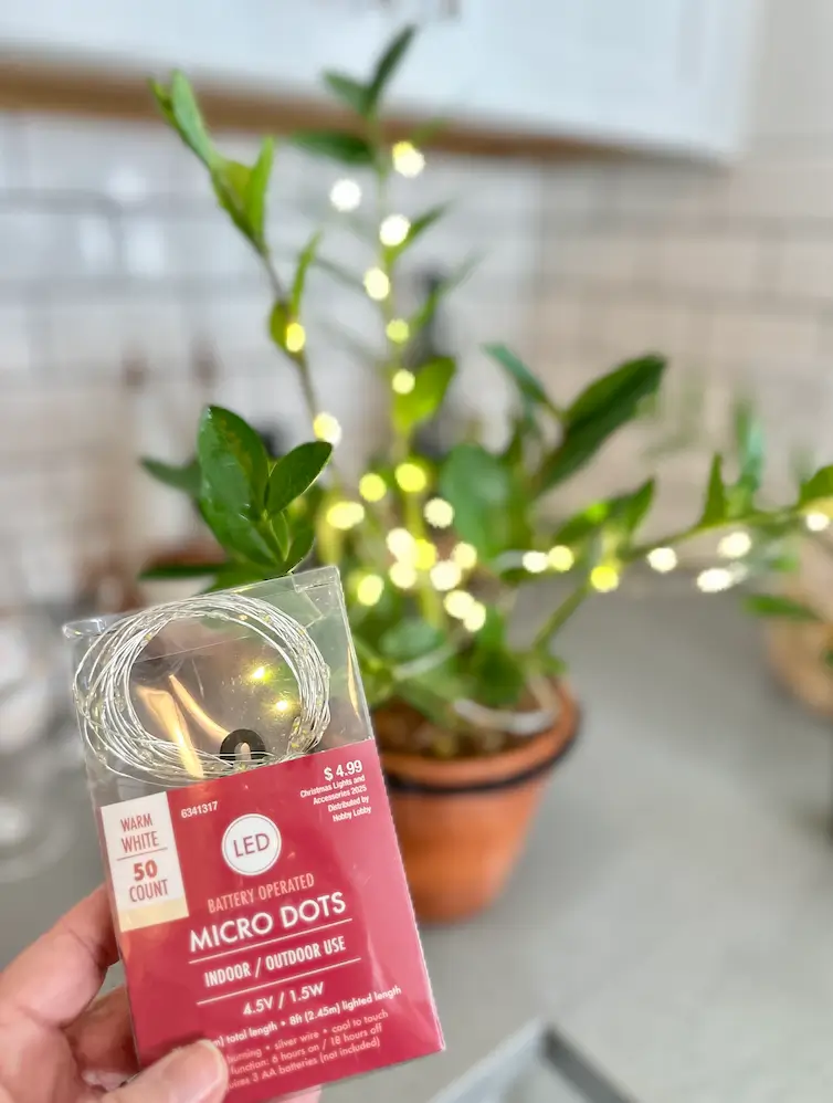 Fairy Lights for decorating houseplants at Christmas.
