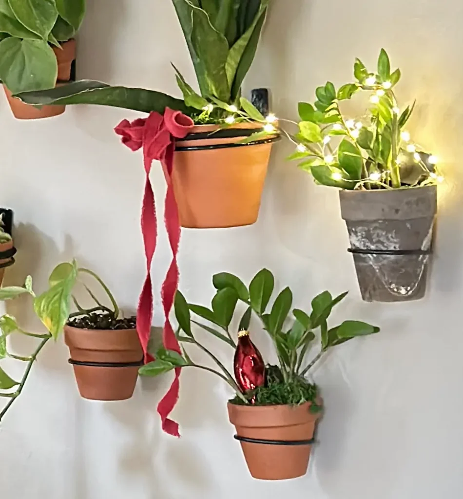 Plant wall decorated for Christmas