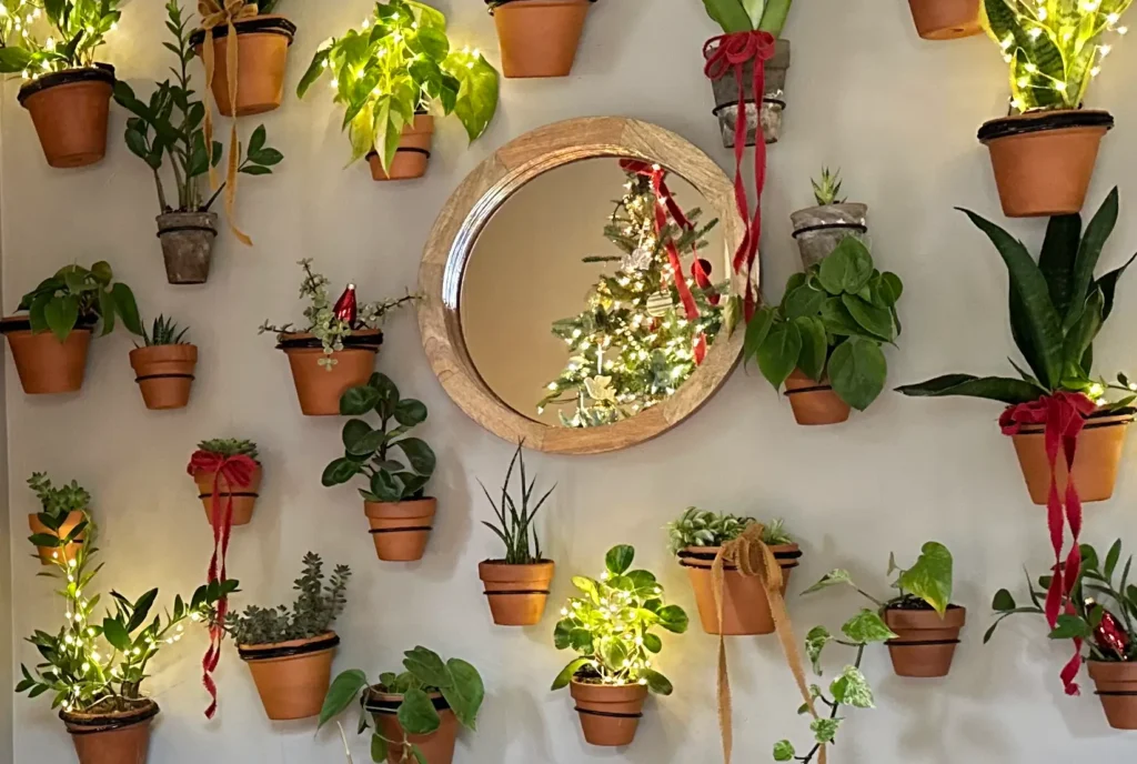 Vertical Plant wall decorated for the Holidays.