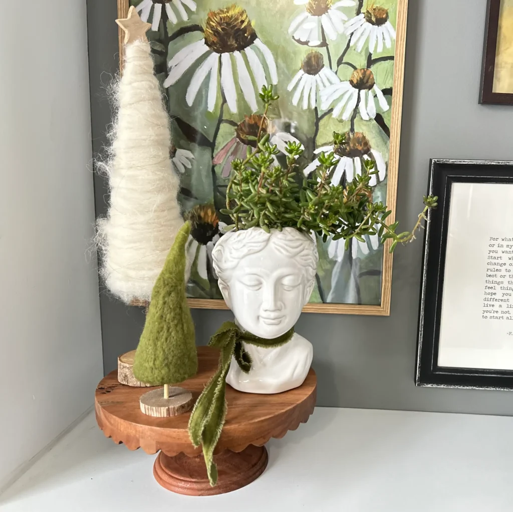 Plant decorated for Christmas