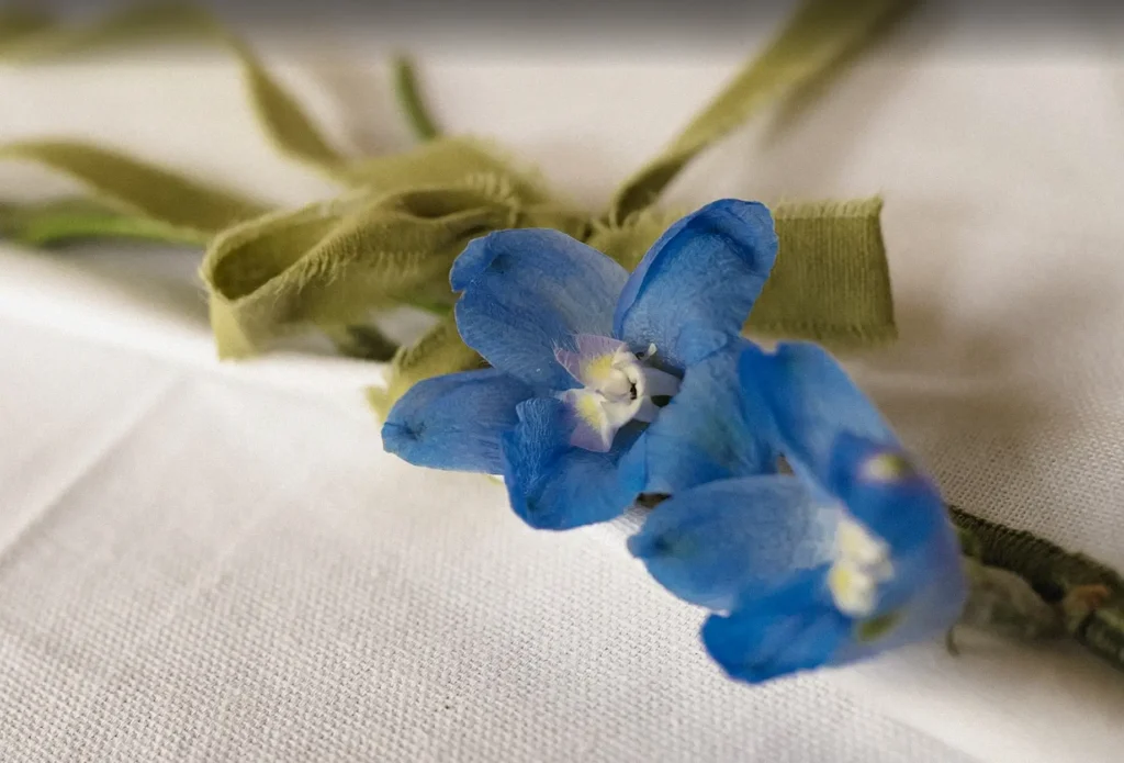 Ribbon tied napkins on a Mother's Day Brunch table.