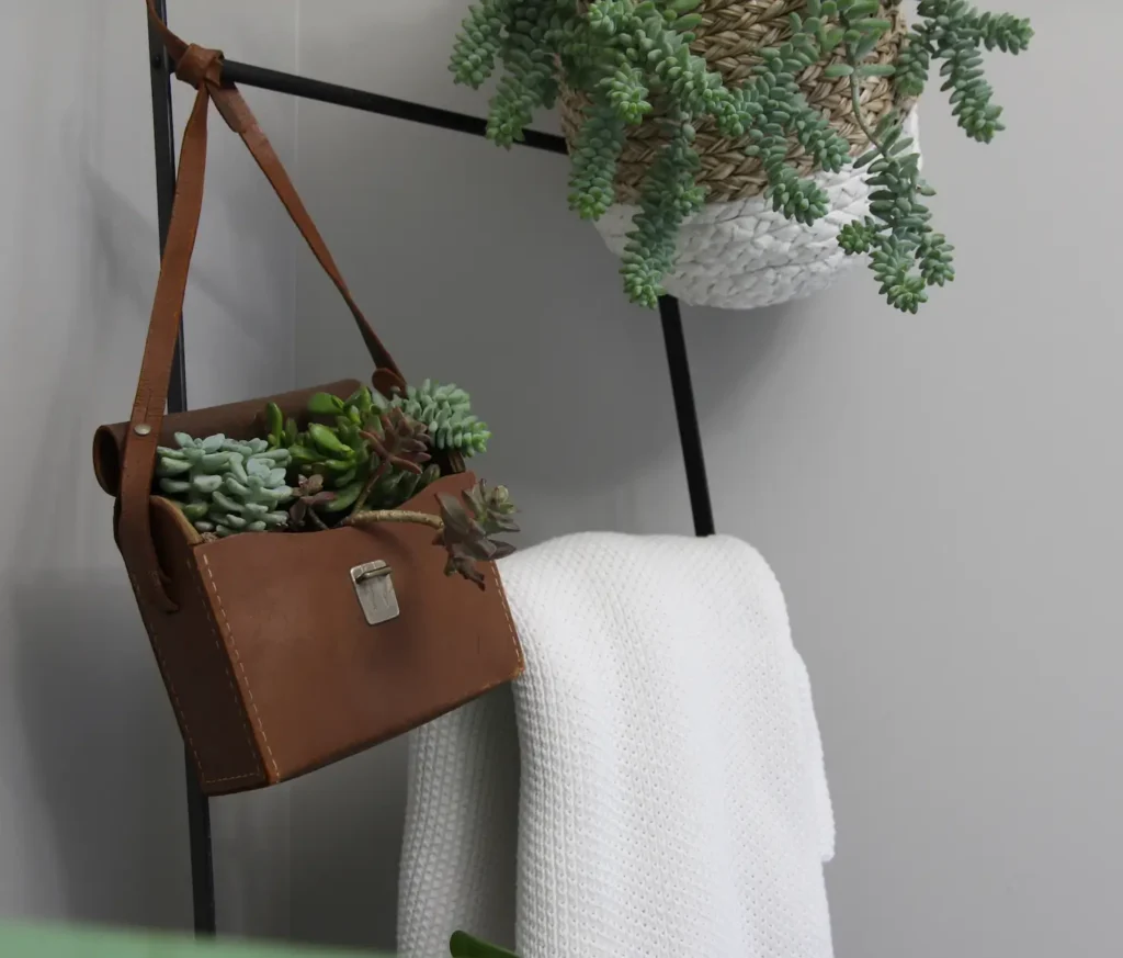 Vintage camera bag filled with succulents.