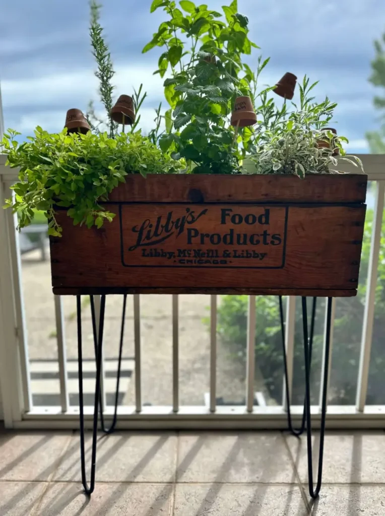 Libby's Crate made into a Summer Cocktail Garden