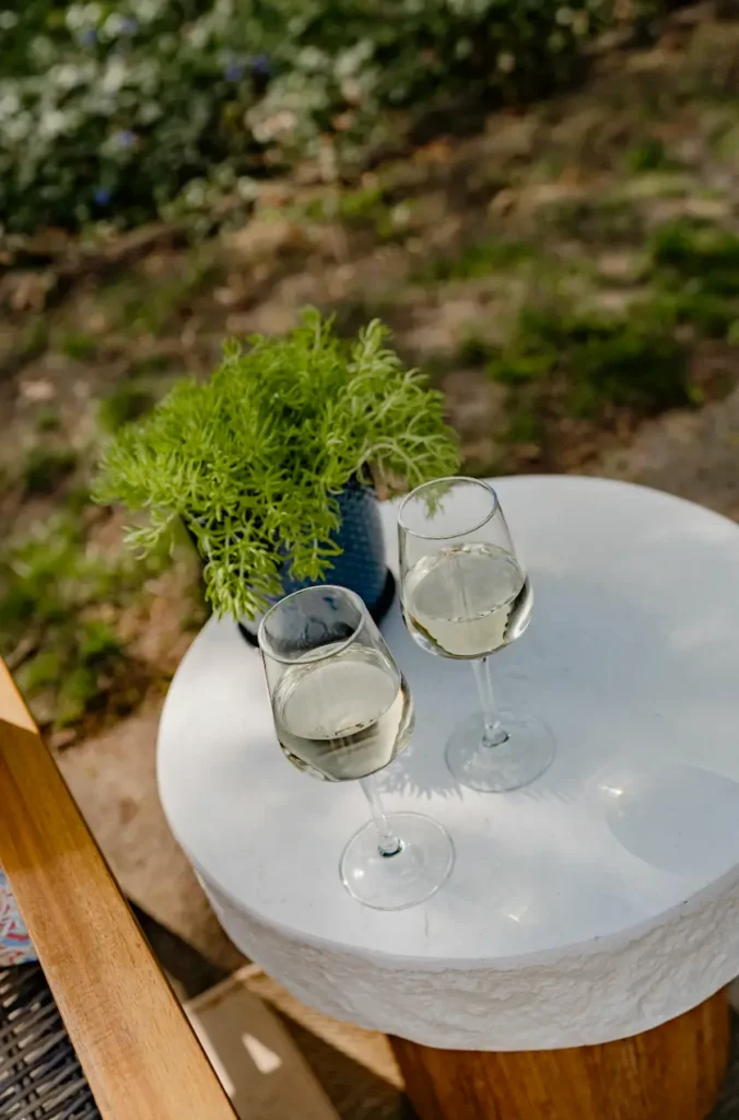 Side Table with glasses of wine and plant.