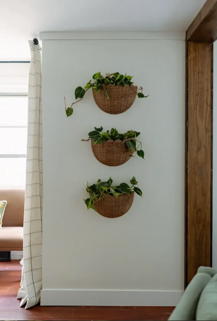 Wicker Wall Baskets for Plants from Walmart.